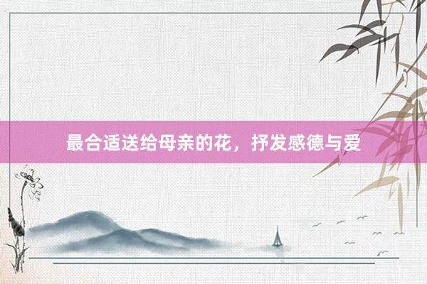 最合适送给母亲的花，抒发感德与爱