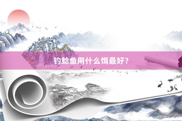 钓鲶鱼用什么饵最好？