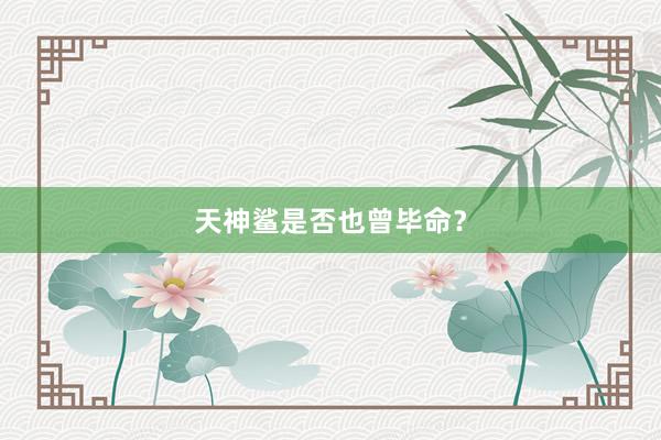 天神鲨是否也曾毕命？