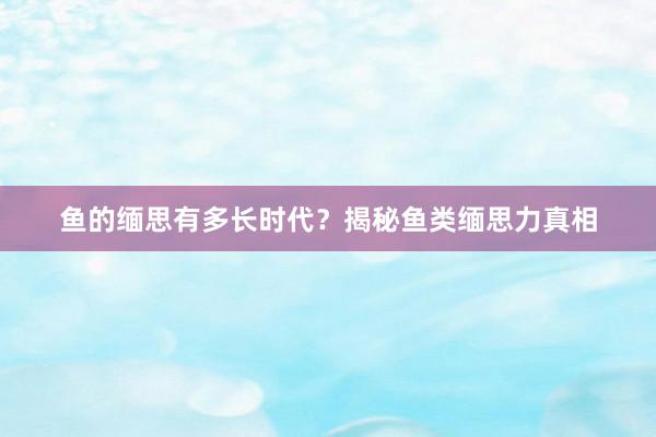 鱼的缅思有多长时代？揭秘鱼类缅思力真相
