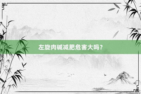 左旋肉碱减肥危害大吗？